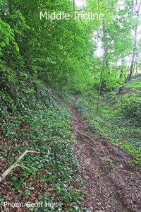 IMG_2578-Middle-Incline