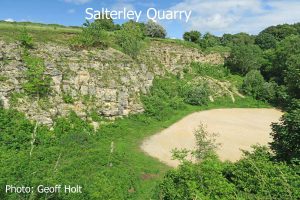 IMG_2609-Salterley-Quarry