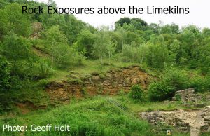IMG_2631_Rocks1