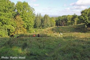 Area_16_IMG_7835