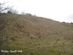 IMG_8329