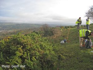 IMG_8352-gorse