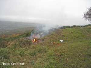 IMG_8354-Gorse