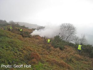 img_8357-gorse